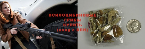 стафф Алексин