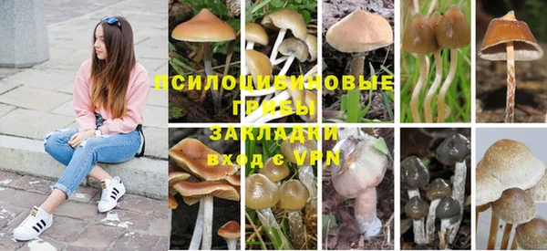 амф Навашино